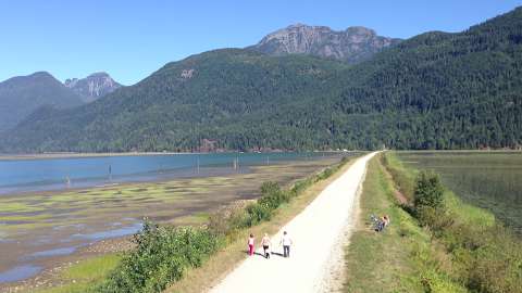 Pitt lake Pitt lake